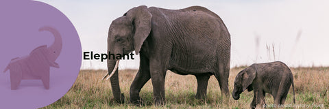 elephant wooden magnetic toy animal learning
