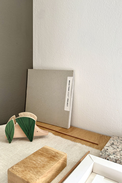 wooden magnetic designer hedgehog