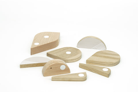Set of magnetic wooden pieces of a toy on a white background