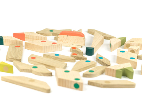 game of dinosaurs wooden magnetic parts
